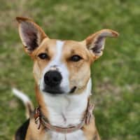 Photo of 🌼 Daisy 6367 🌼