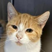 Photo of Olivia O'cleary