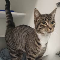 Photo of Padrig