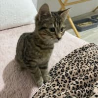 Photo of Mabel