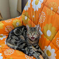Photo of Dee