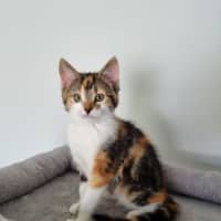 Photo of Winnie The Poo Crew