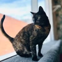 Photo of Kitlyn   Located In Preston