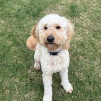 Photo of Chewy Clausen 