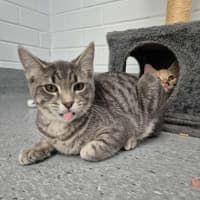 Photo of Autumn! 🍁