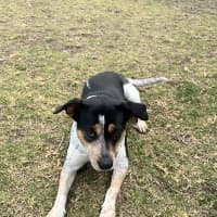 Photo of Dottie
