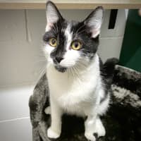 Photo of Buddy