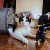 Photo of Maggie