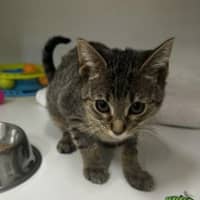 Photo of Chiquitita