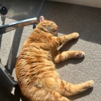 Photo of Bobby