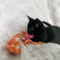 Photo of Nyra
