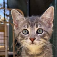 Photo of Humpty Dumpty