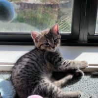 Photo of Navia & Rayne 