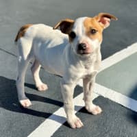 Photo of Harry 💙🐶