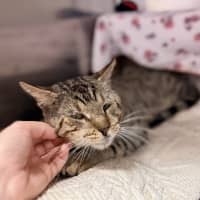 Photo of Bruce Wayne