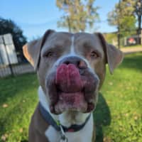 Photo of Chomp