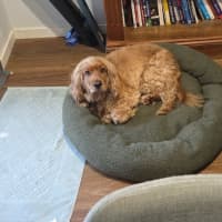Photo of Walter