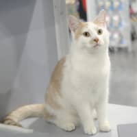 Photo of Fizz