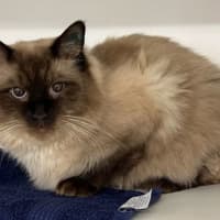 Photo of Jude