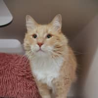 Photo of Sandy Sua014494