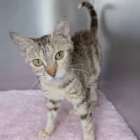 Photo of Belle