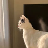 Photo of Lilly