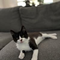 Photo of Bruce And Macey