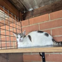 Photo of Whitney! 🌟