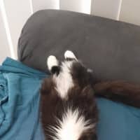 Photo of Winnie 