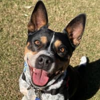 Photo of Leela