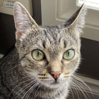Photo of Sunny 