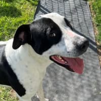 Photo of Bingo (4471)