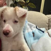Photo of Tilly