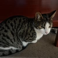 Photo of Tubby