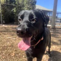 Photo of Emery