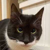 Photo of Maggie