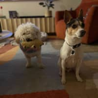 Photo of Oscar And Tilly Tamblyn