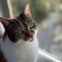 Photo of Mila 