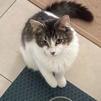 Photo of Atlas