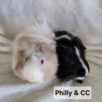 Photo of Philly & Cc