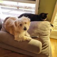 Photo of Georgie O'cleary