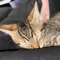 Photo of Billie 🍓