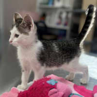 Photo of Mazda (8923)