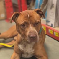 Photo of Floyd