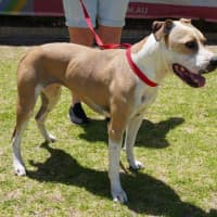 Photo of Wilma