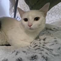 Photo of Queen Elinor 