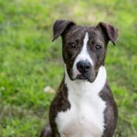 Photo of Sally