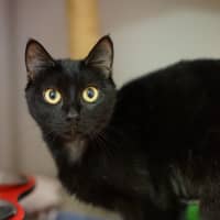 Photo of Mavis