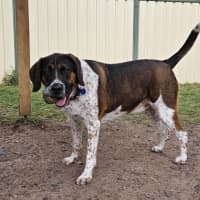 Photo of Georgie Porgie