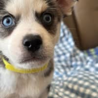 Photo of Charlie